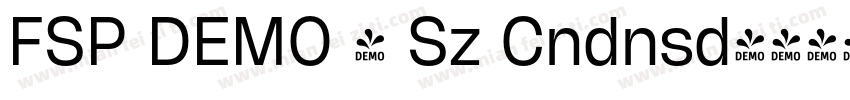 FSP DEMO - Sz Cndnsd字体转换